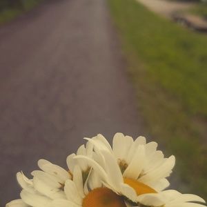 Meet your Posher, Cheyenne